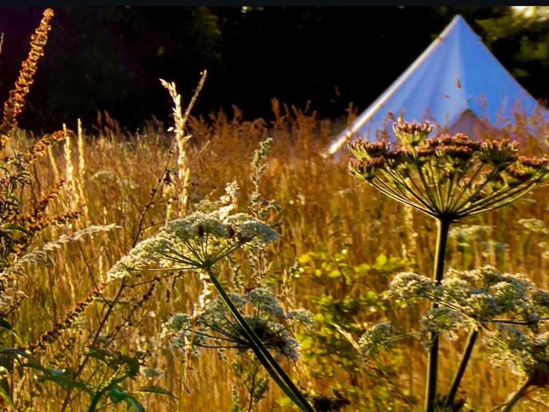 The Oaks Tent Pitches With No Accommodation Supplied And You Must Bring Your Own Tent Colkirk Exterior photo