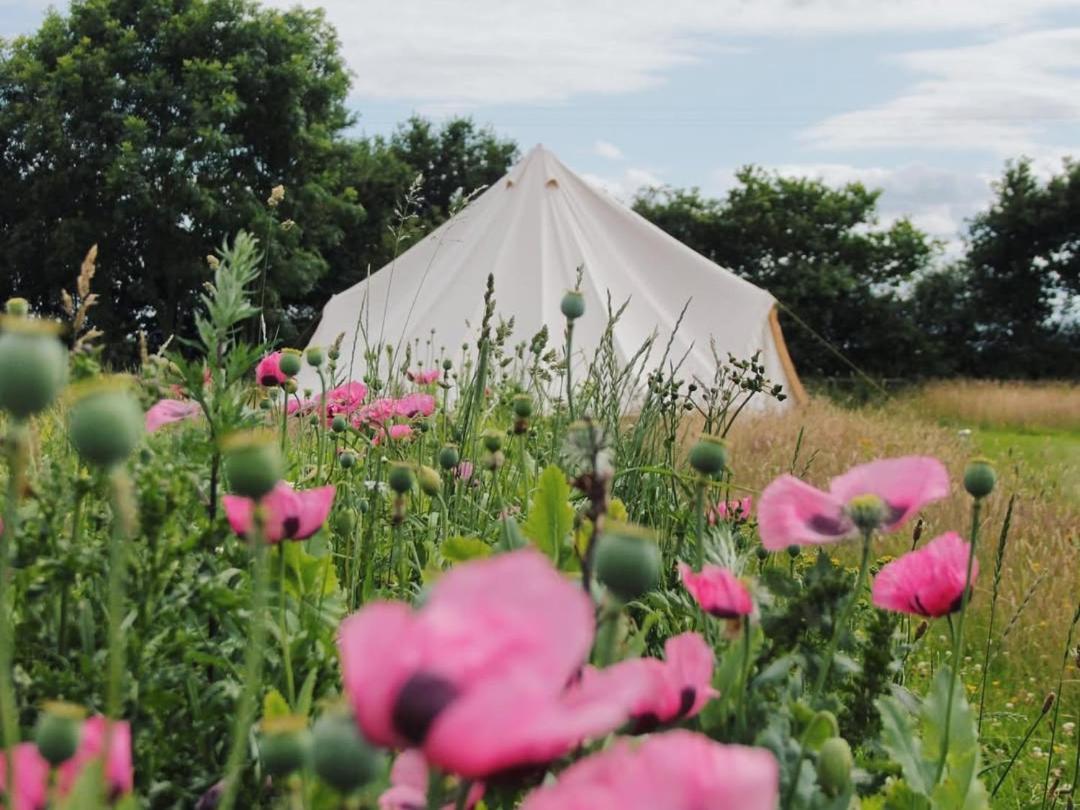 The Oaks Tent Pitches With No Accommodation Supplied And You Must Bring Your Own Tent Colkirk Exterior photo